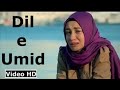 Pakistani Song Dil E Umeed Tora Hai Kisi Ne Abdul Kabir