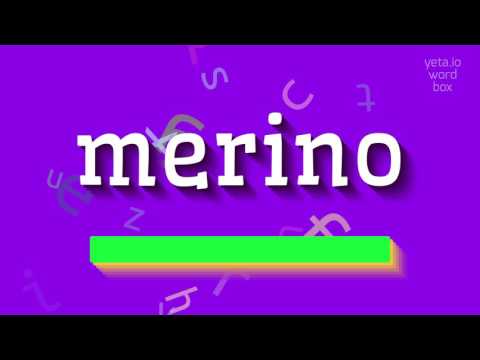 HOW TO SAY MERINO? #merino