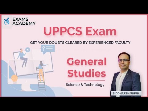 Which of the following has the largest brain in proportion to its body size?