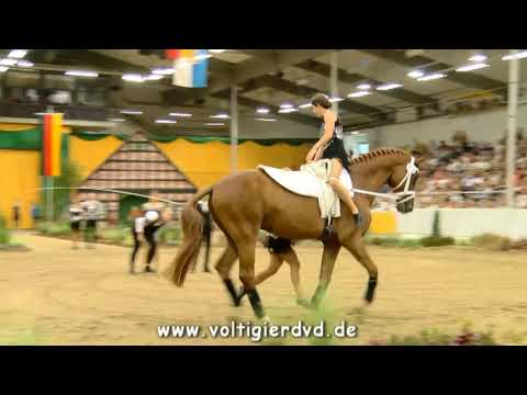 Münsterschwarzach I - Team 09 - DMV Verden 2017