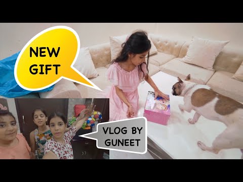 New Gift and Aaj Ka Vlog Guneet ne Kiya 😍
