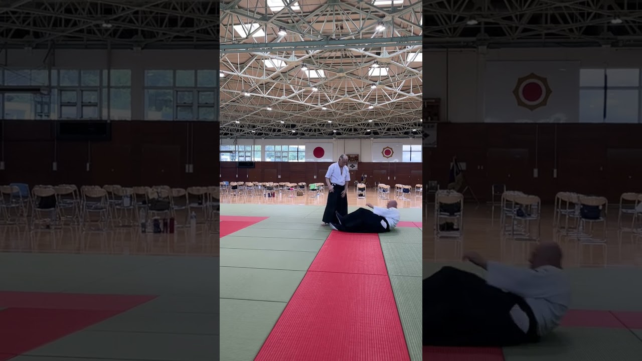合宿稽古風景　#大東流合気柔術 #大東流 #合気道 #martialarts #Daitoryu #aikido #aiki #jiujitsu　#shorts