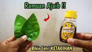 Download lagu It turns out these are the benefits‼️2 BETEL LEAVES MIXED WITH HONEY mp3 Download lagu It turns out these are the benefits‼️2 BETEL LEAVES MIXED WITH HONEY mp3