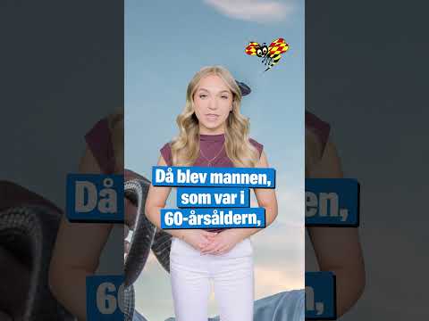 Turist dog – bets av kobra under hotellshow