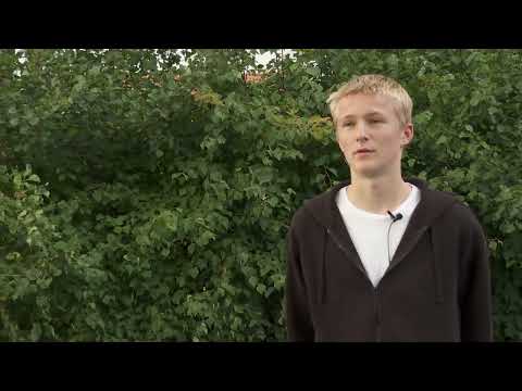 Hossmo BK egna supporterförening