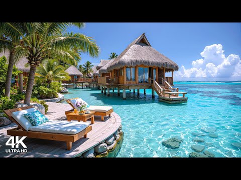 Relaxing Morning Jazz ~ Smooth Bossa Nova Guitar at Tropical Beach Ambience with Calm Waves for Work