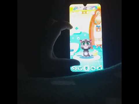 my talking tom vs my tom2  vs talking tom vs pou