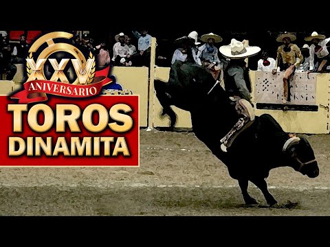 2022 Campeonato Millonario THV - Jineteo de Toro dia 01 sep - Jinetes vs Toros de Reparo