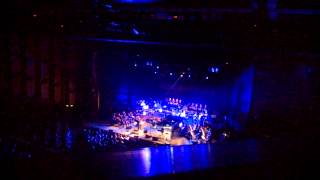 These New Puritans - Barbican LIVE (We Want War + new song)