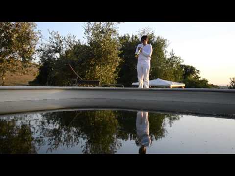 Louis Siciliano ::ALUEI:: -  New Album coming soon. Stay tuned!