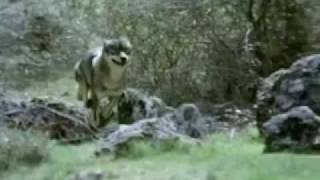 Vargtimmen - Hedningarna