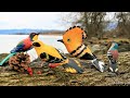 Panchi Sur Mein Gaate Hain Status For Whatsapp Hd Birds Status Sirf Tum Colorfull Birds Hd