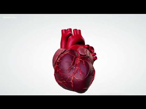 Does you heart stop when you sneeze?