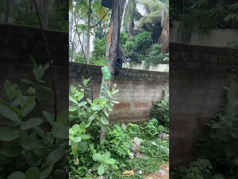  2560 Sq.ft. Residential Plot for Sale in Bhingarpur, Khordha