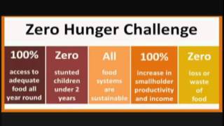 Zero Hunger Challenge - UN Secretary-General message