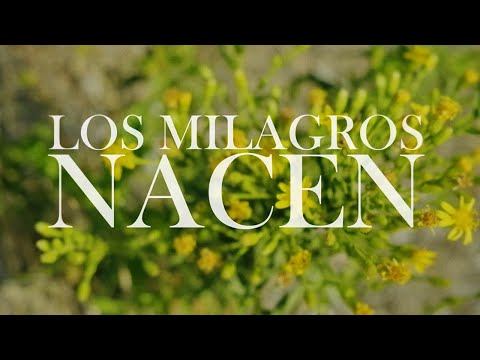 EMEJAH - LOS MILAGROS NACEN (Videoclip)
