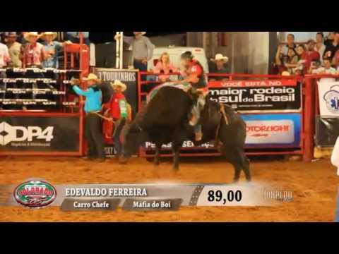 Rodeio de Colorado 2015 - FINAL EM TOUROS