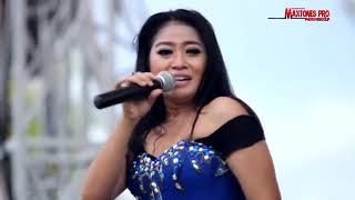 Download lagu PRIA IDAMAN LILIN HERLINA NEW PALLAPA mp3