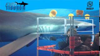 DIA 2 Expo Tiburon248