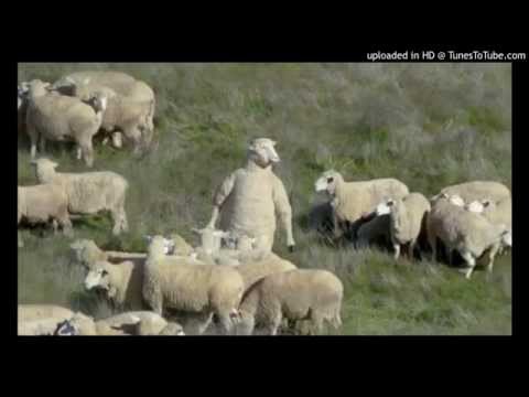 Today's Tango Is... La Oveja Descarriada - Francisco Lomuto 17-11-1927