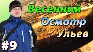 Смотреть онлайн Как производить осмотр пасеки с наступлением весны