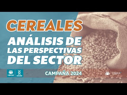 Fotograma del vídeo: Perspectivas para el sector de los cereales en la campaña 2024/25