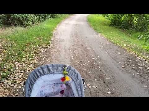 Ein schöner Ausflug mit unseren Reborn babys (unbezahltes Werbevideo))