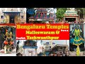 All Temples In Malleswaram And Yeshwanthpur Bengaluru Part 2 Kaadu Mallikarjuna Anjaneyar