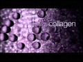 L Oreal Canada Hair Expertise Volume Collagen