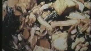 Food That Kills Part 6 of 6 - Slow Government Approved Suicide