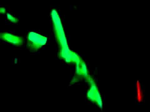 danceteria nerfetiti pirauba