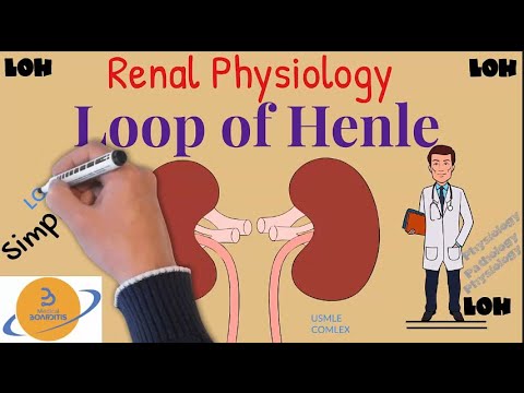 Loop of Henle/Bartter Syndrome|Kidney Physiology|Function|Pathology Explained nicely! USMLE, COMLEX.
