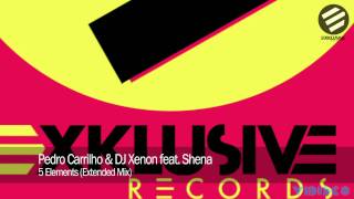 Pedro Carrilho & DJ Xenon feat. Shena - 5 Elements (Extended Mix)
