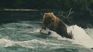 2023 Alaska Rainbow Lodge Promo