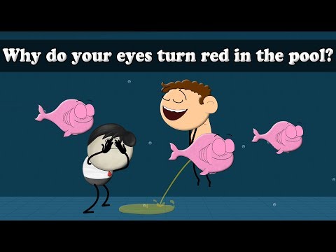 Why do your eyes turn red in the pool? |  #aumsum