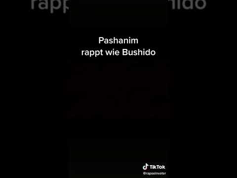 Pashanim klaut Text von Bushido „Kleiner Prinz“ | Haram Memes