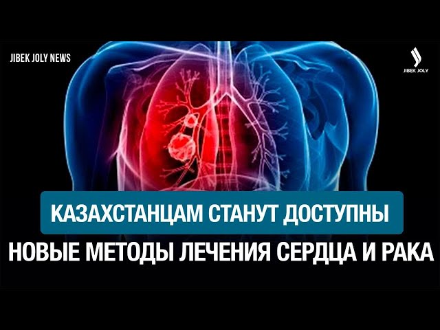 ИИ повышает эффективность компаний в Казахстане на 20–40%