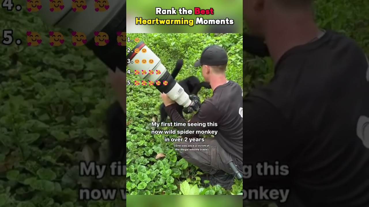 #animals #kindness #love #shorts #fyp #foryou