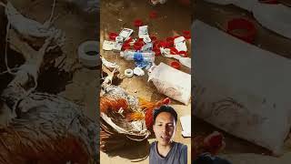 Download lagu Judi Sabung Ayam #viral #indonesia #vietnam #shorts mp3