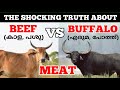 പോത്തിറച്ചി അല്ല ബീഫ് Beef Vs Buffalo Meat Less Known Facts