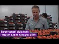 Barpersoneel plukt fruit: 'Moeten het ze heel snel leren'