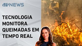 Miniatura do vídeo
