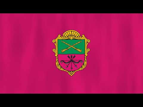 Прапор міста Запоріжжя. Запорозький марш оркестр. Футаж.