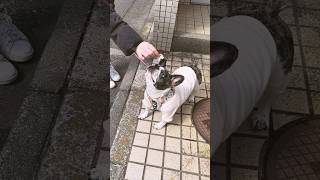 心踊る季節になりました☘️✨