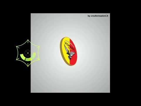 Vismara 2008  VS  Pergolese