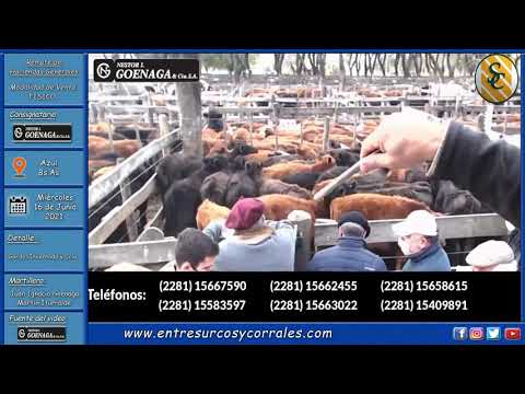 16-06-21 - Remate de Nestor I. Goenaga y Cía. S.A. - Azul, Bs.As.