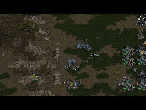 The Wall  - Stats vs Flash