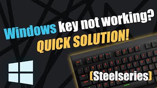Windows key not working? Solution (Steelseries)