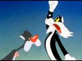 Cheese Wmv