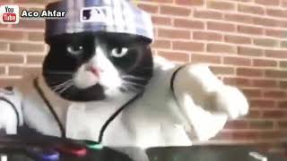 Download lagu Jaran goyang versi ayam mp3